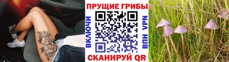 купить наркоту Мыски Галлюциногенные грибы мицелий